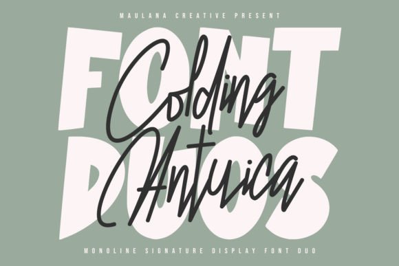 Colding Antuica: A Brush Typeface for Authentic Branding