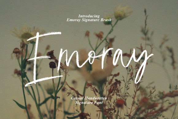 Emoray: A Handmade Script Font for Editorial Design