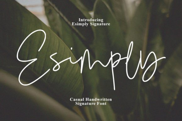 Esimply Font Review: A Signature Typeface for Web Design