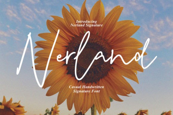 Nerland Font Review: Elevating Small Business Branding
