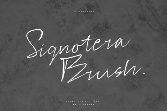 Signotera Brush: A Font for Business
